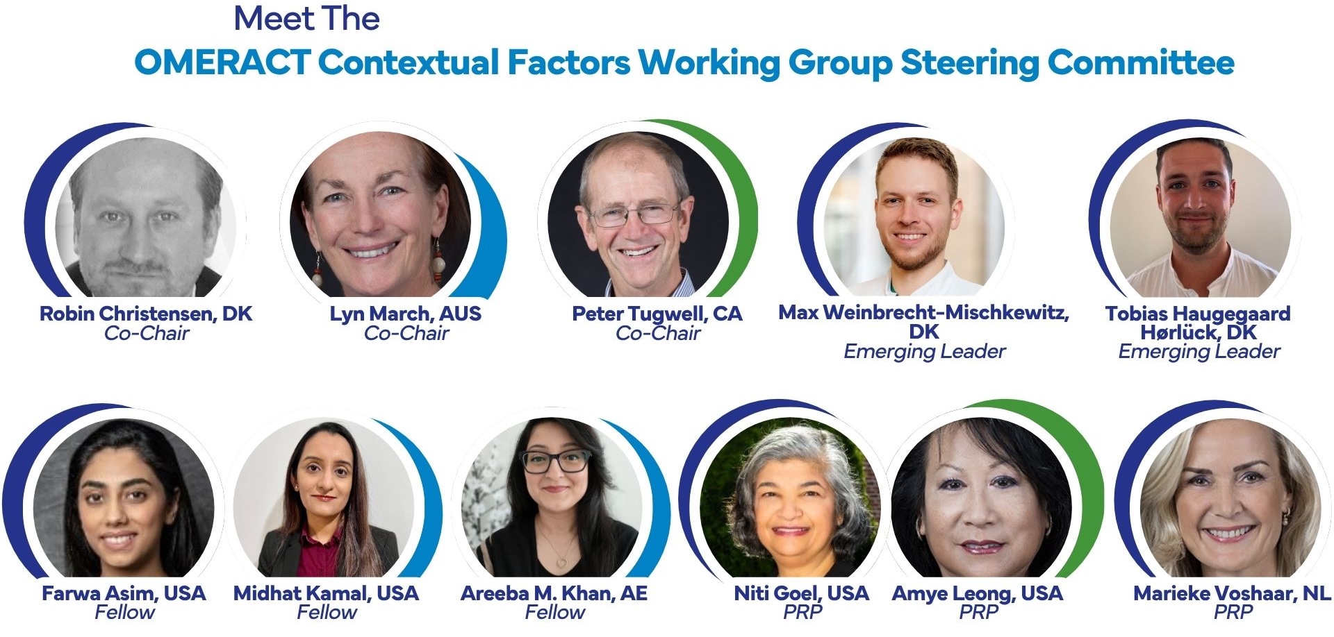 OMERACT Working Group Steering Committees