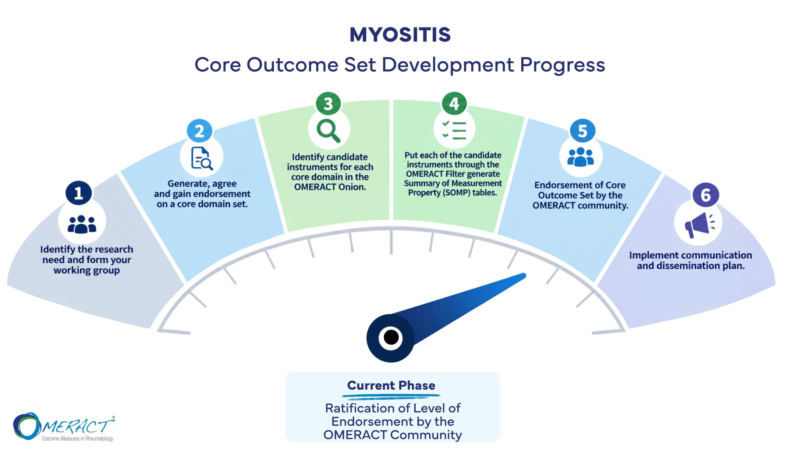 Myositis